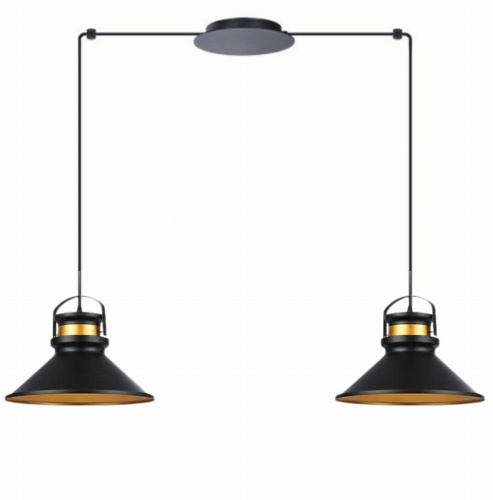 Lampa wisząca Ferro 2. Zdjecie lampy z dwoma kloszami na białym tle.