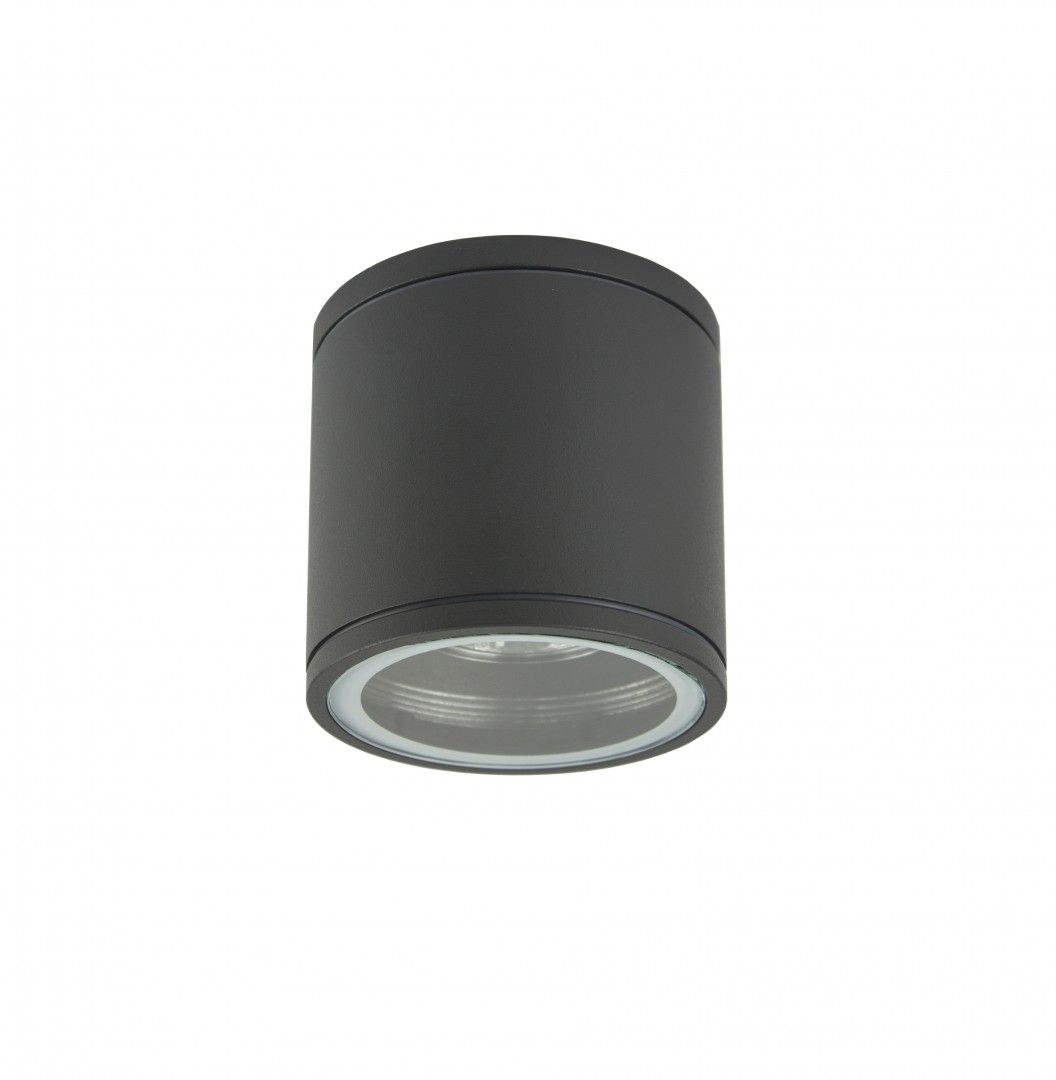 Lampa sufitowa zewnetrzna Adela.